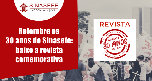 mini - revista
